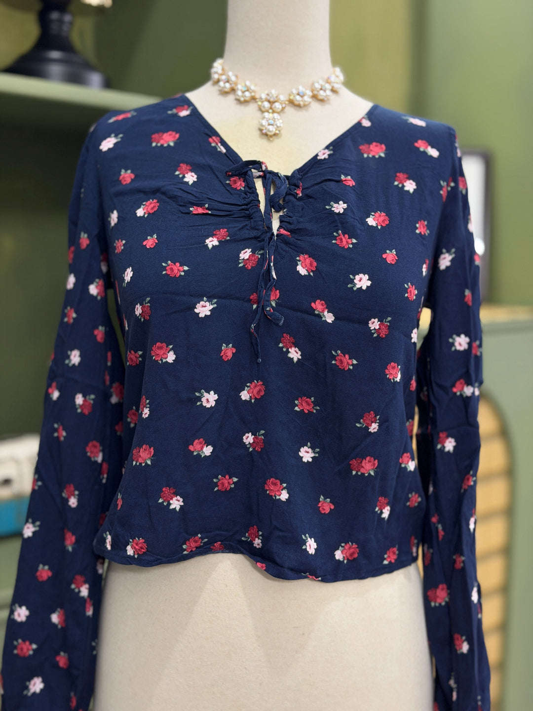 HOLLISTER (CONDITION: PREMIUM PLUS)