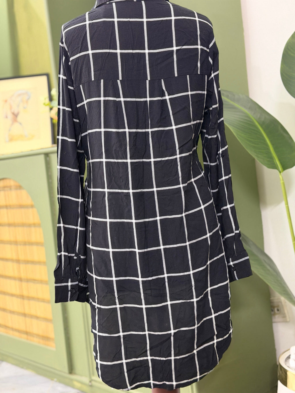 APRICOT(CONDITION: PREMIUM PLUS)