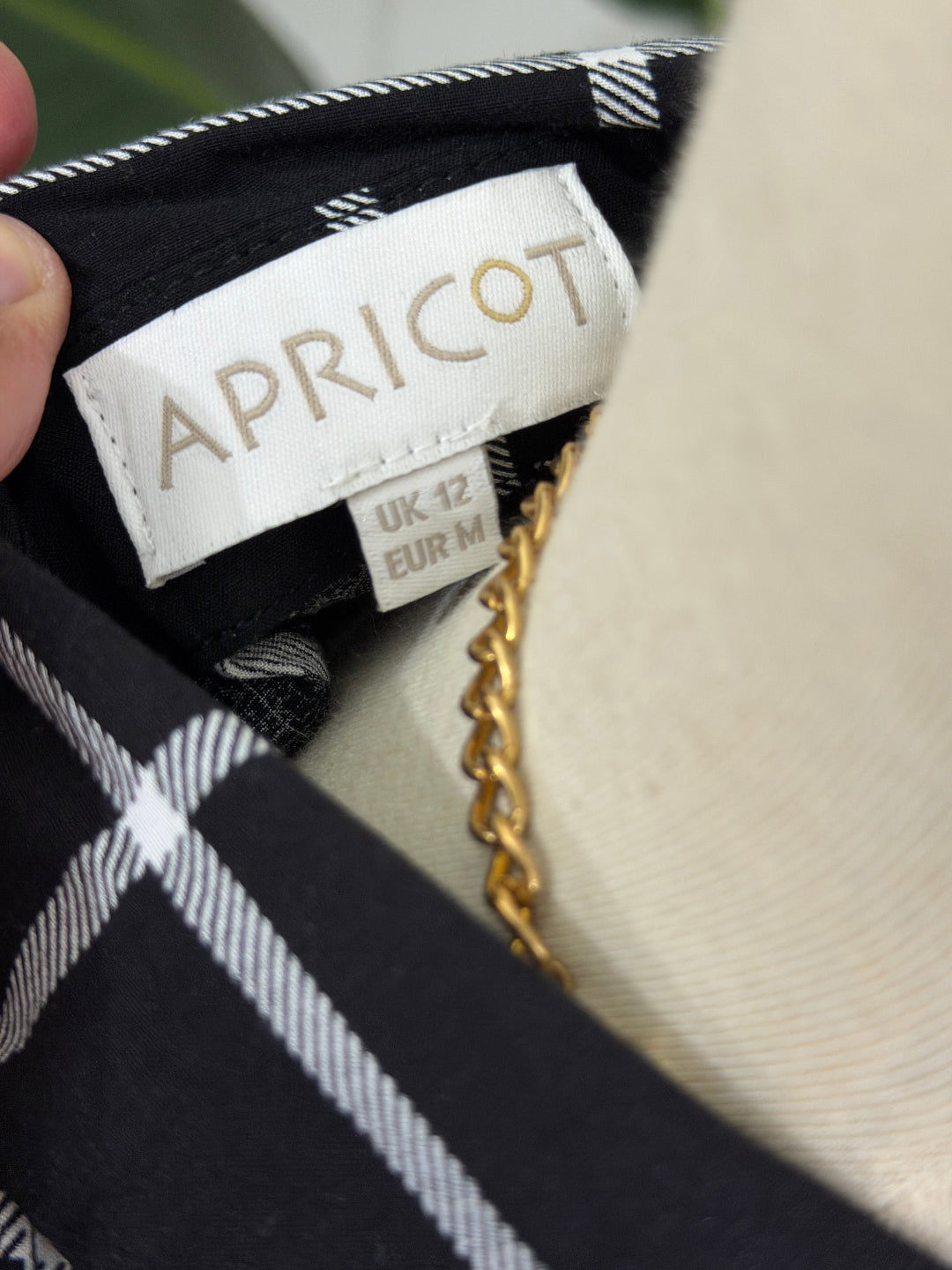 APRICOT(CONDITION: PREMIUM PLUS)